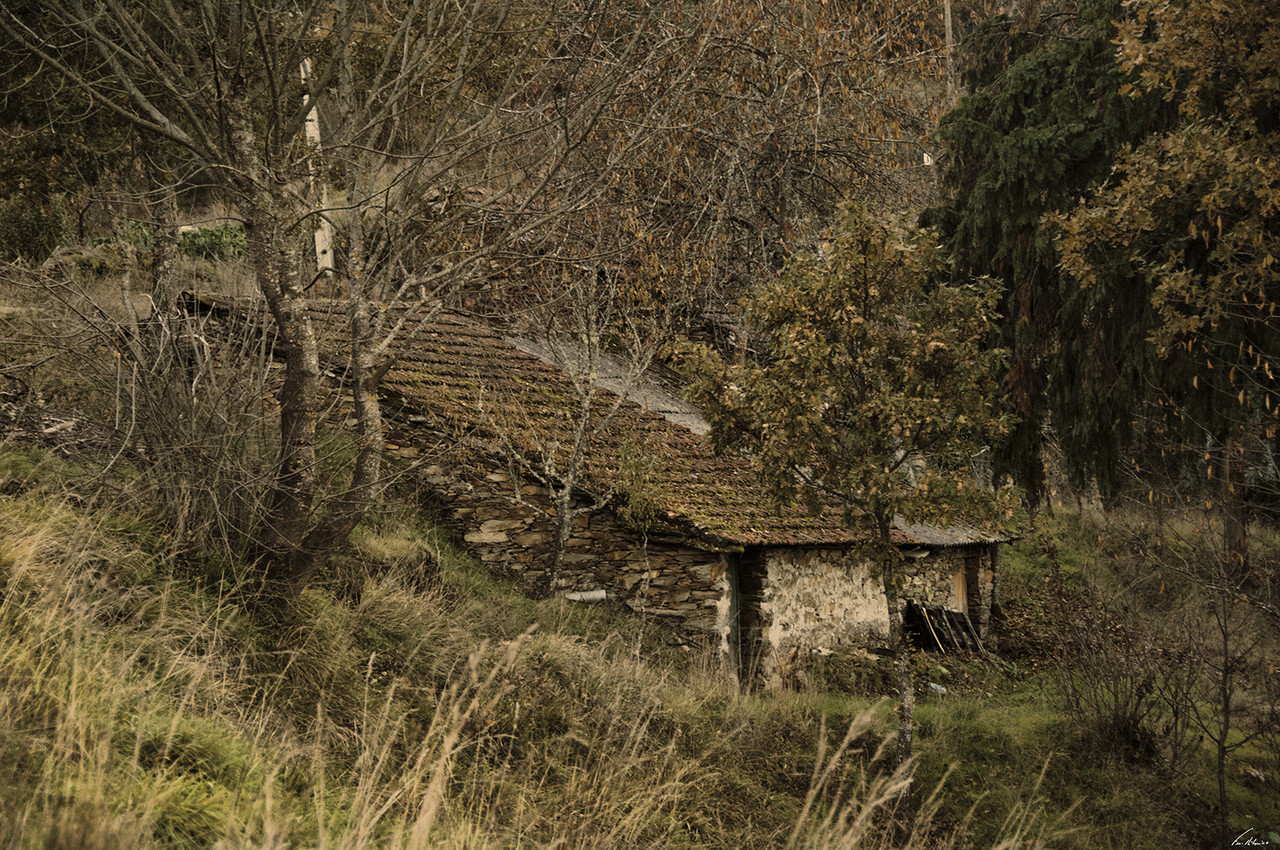 1600-aveleda (595).jpg