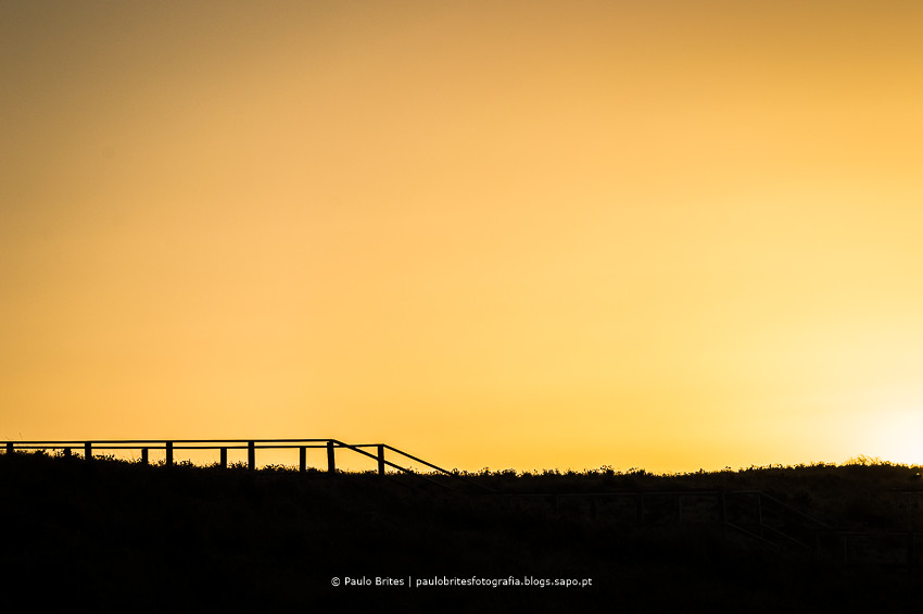 DSC_7875-1.tif DSC_7875-1.tif