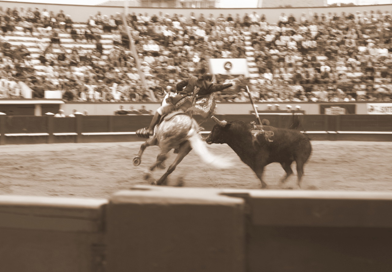 Dia26 4Toiro GFilipe.JPG