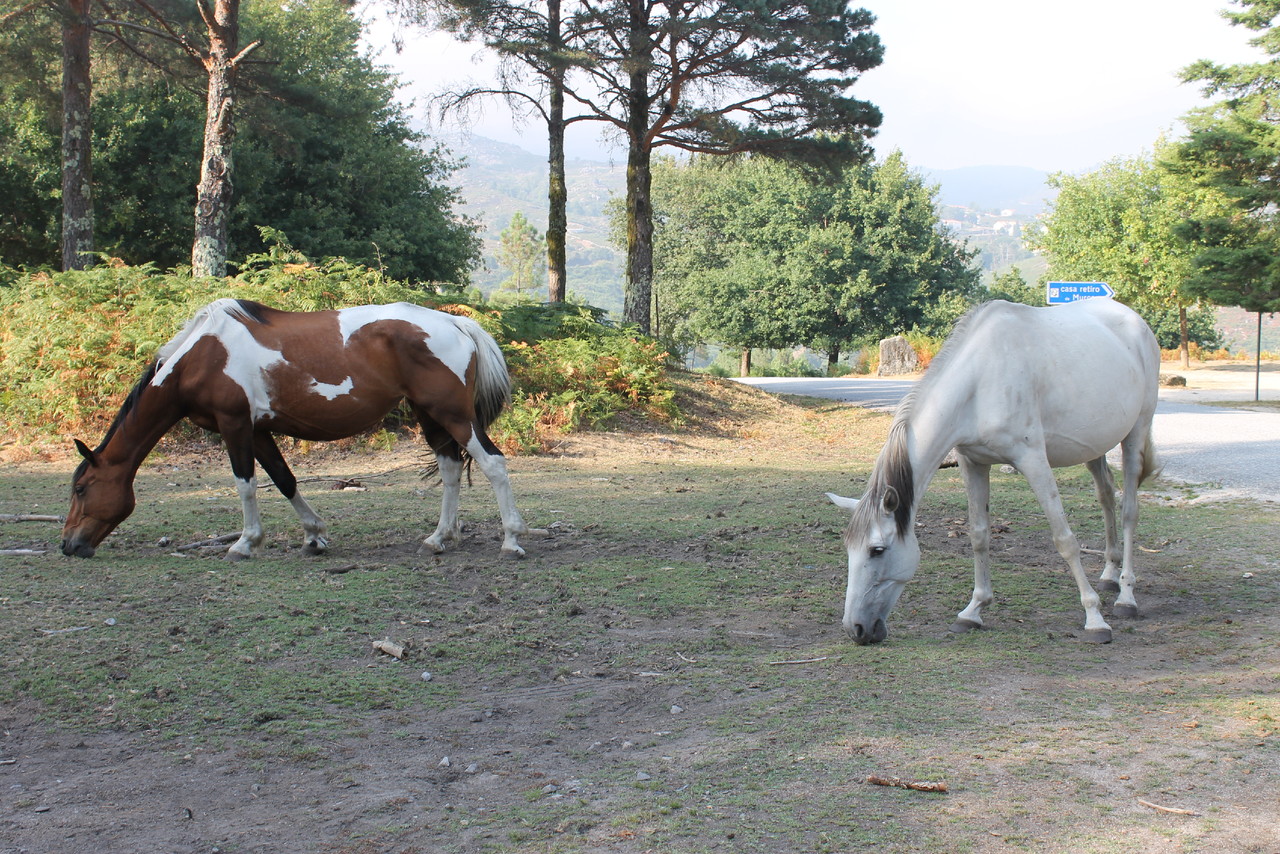 IMG_1273.JPG IMG_1273.JPG