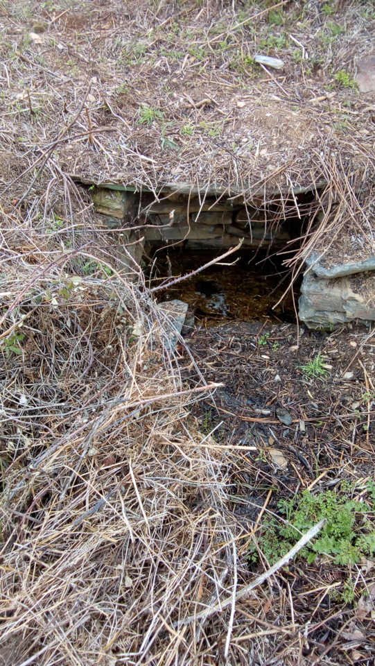 IMG_20180411_185503.jpg IMG_20180411_185503.jpg