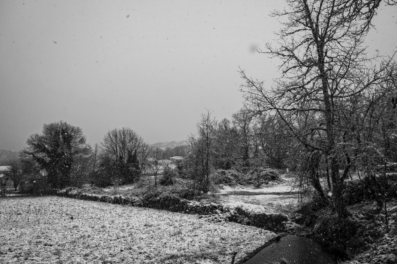 DSCF3375 - cópia copy.jpg