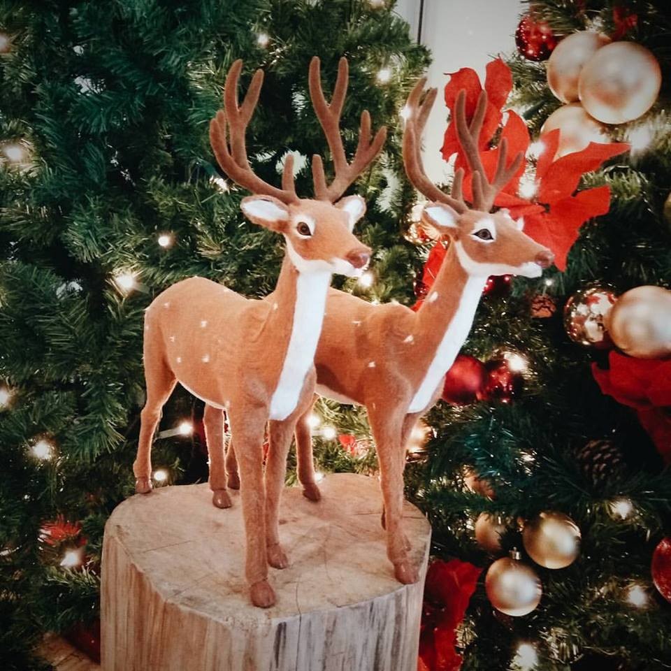 15726350_10157871028705648_4168058788997516879_n.j 15726350_10157871028705648_4168058788997516879_n.j