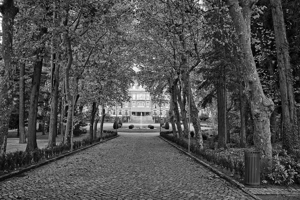 vidago-Outono-out2015 018 - Cópia.jpg