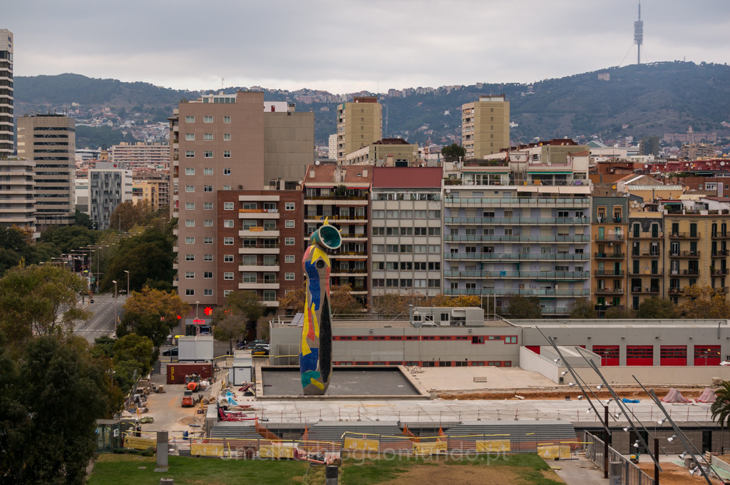 DSC04265.jpg DSC04265.jpg