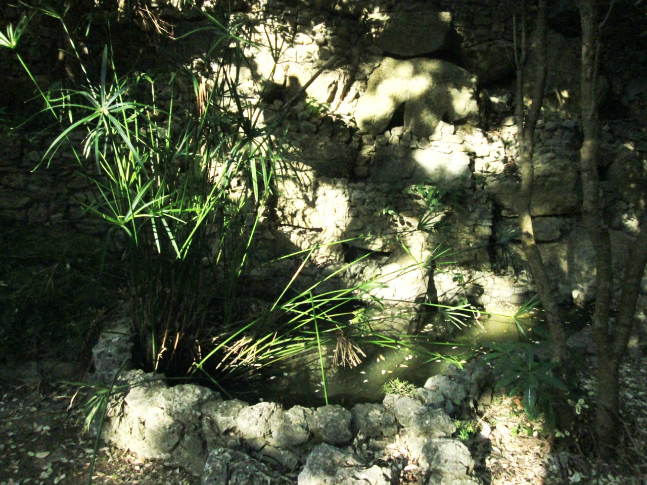 IMG_6673.JPG IMG_6673.JPG