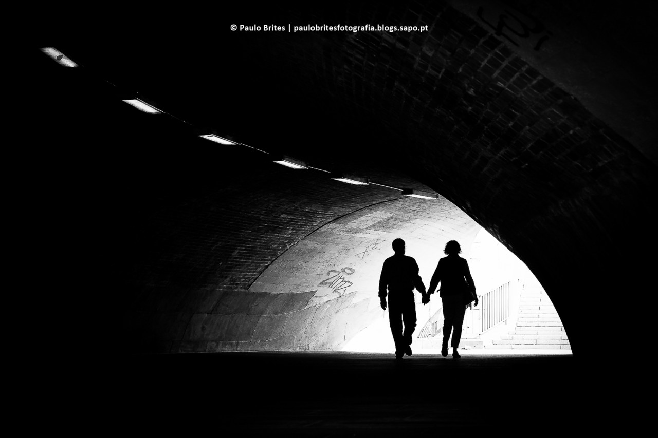 DSC_11756-1-3.jpg DSC_11756-1-3.jpg