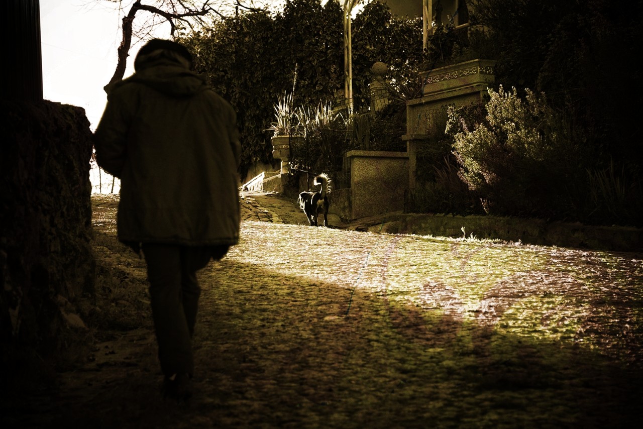 montalegre+matança abobelei.jpg