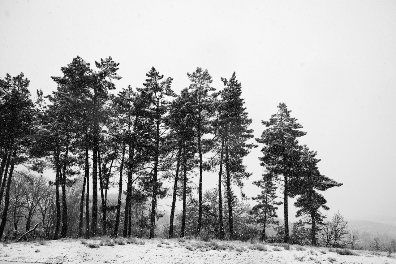 DSCF3360 - cópia copy.jpg