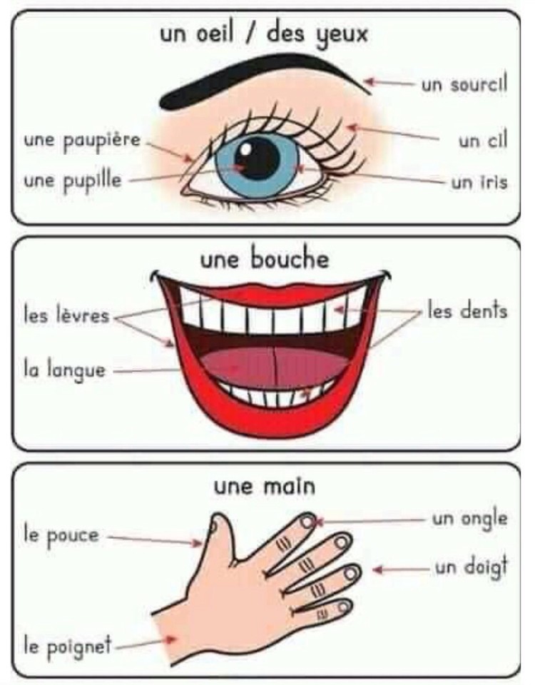 IMG_0767.JPG IMG_0767.JPG