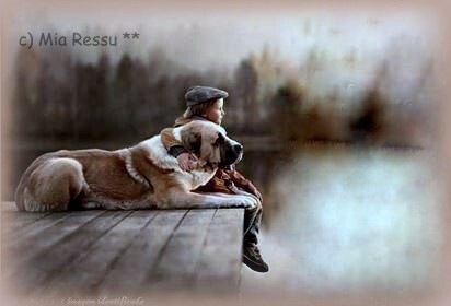 criança e cão amigos par sempre00.jpg