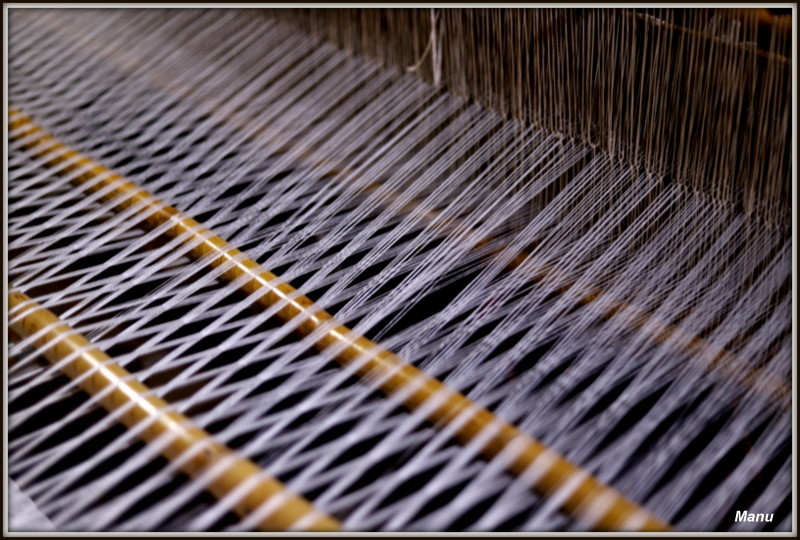 1-IMG_0770.JPG 1-IMG_0770.JPG