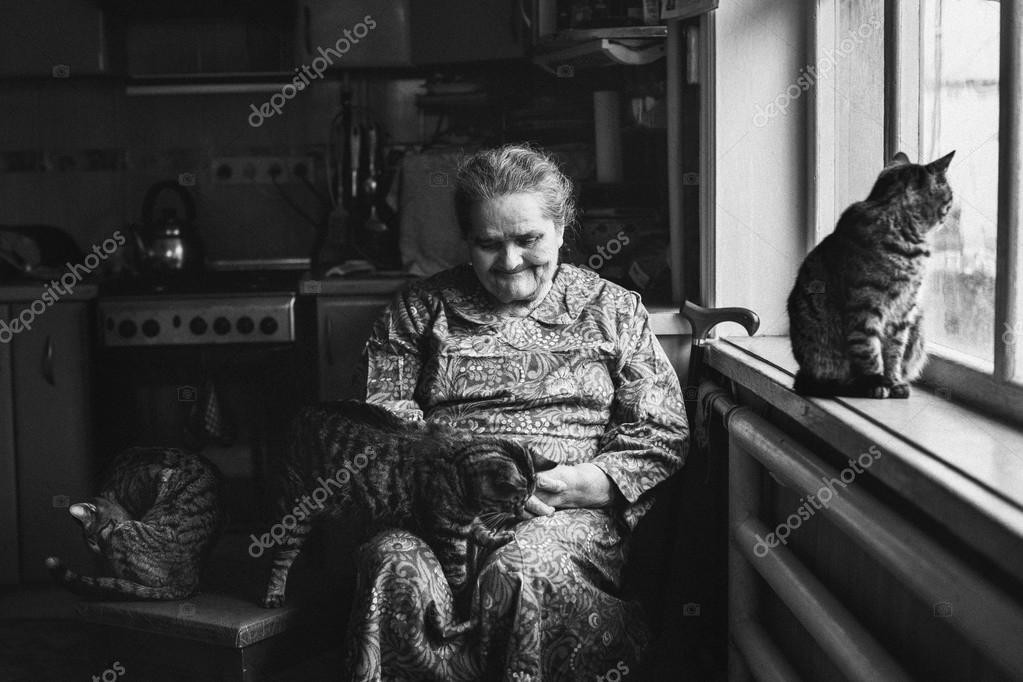 Velha com gatos - google.jpg