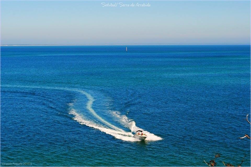 11694853_891871160851149_4100279223784654572_n.jpg 11694853_891871160851149_4100279223784654572_n.jpg