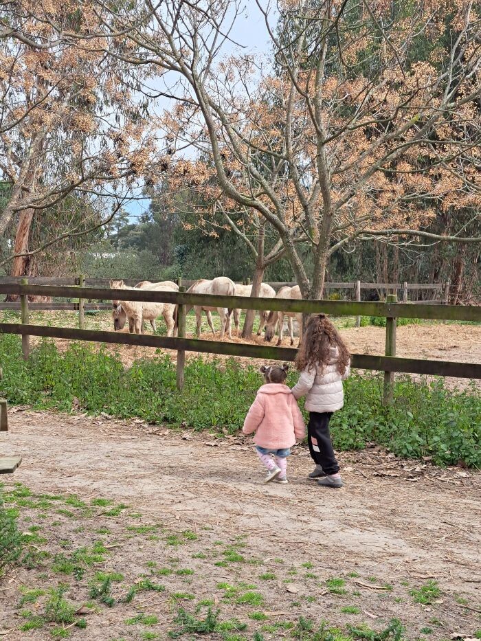 5 tostões de gente11.jpg