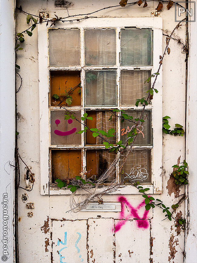 Jul_2023_008 650px.jpg