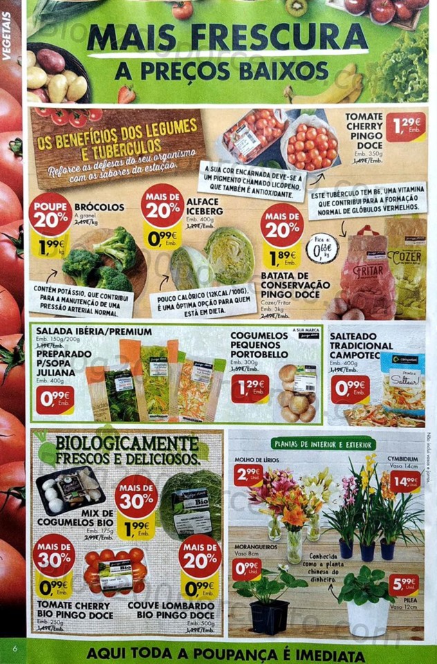 folheto pingo doce 2 a 8 fevereiro_6.jpg