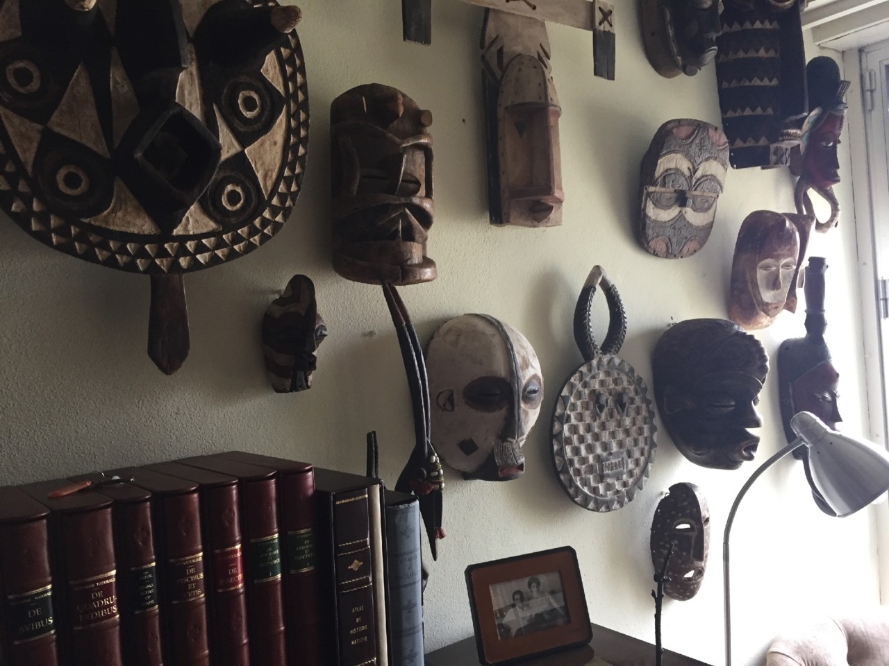 IMG_0764.jpg IMG_0764.jpg