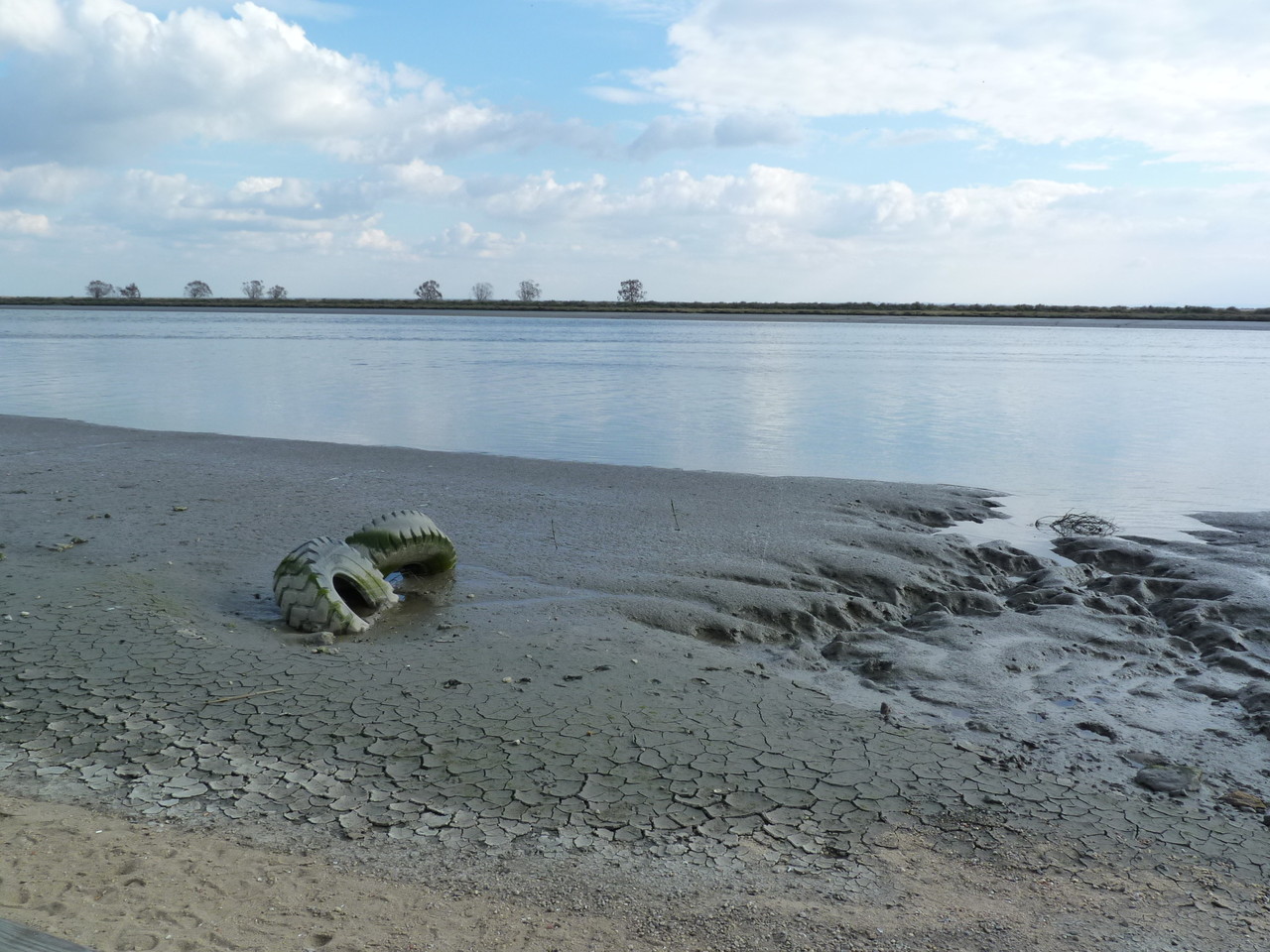 Parque Linear Ribeirinho do Estuário do Tejo (12)