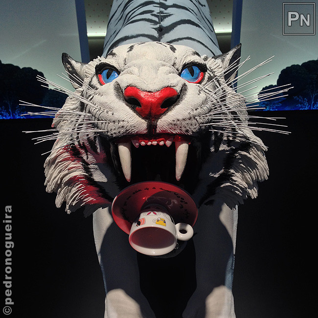 Jun_2017_466 650px.jpg Jun_2017_466 650px.jpg