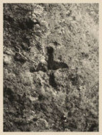 093fbeed-052b-4c56-b7fe-1e6189e5459f.jpg 093fbeed-052b-4c56-b7fe-1e6189e5459f.jpg