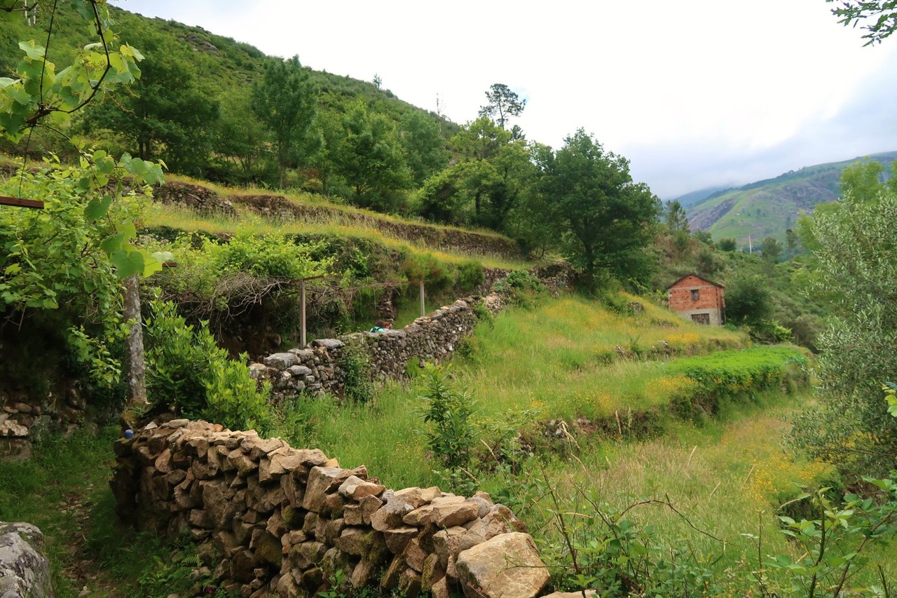 2017-06-03 Sistelo 066.jpg