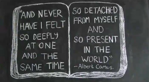 c9a0e34858651781e874952a488dac43--albert-camus-quo