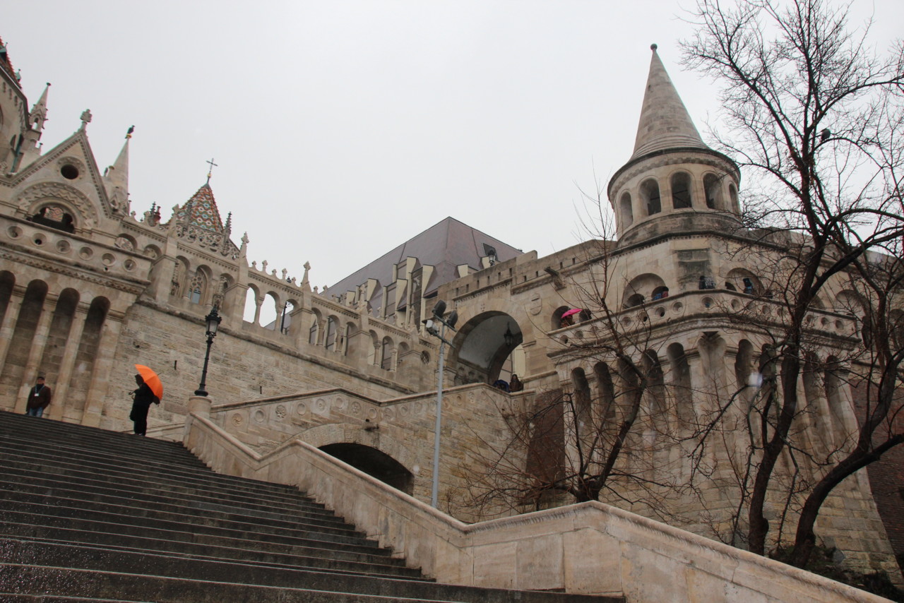 IMG_2274.JPG IMG_2274.JPG