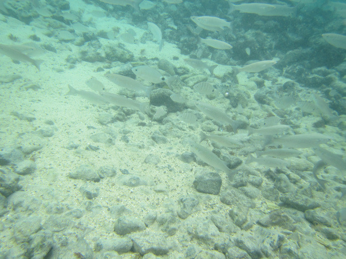 img_0358.jpg img_0358.jpg