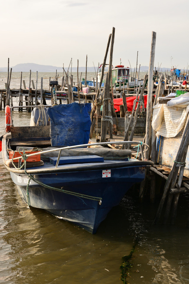 DSC_2908_01_00004.jpg DSC_2908_01_00004.jpg