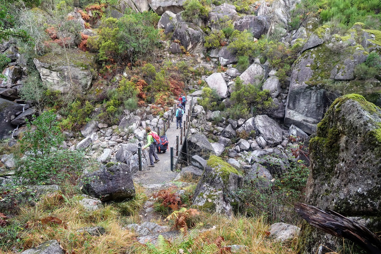 IMG_1855.CR2.jpg IMG_1855.CR2.jpg