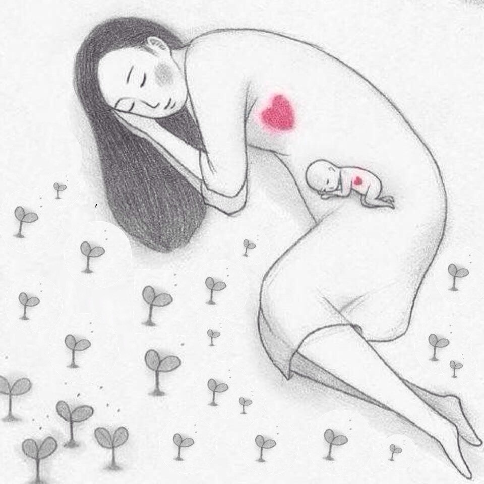 IMG_9749.JPG IMG_9749.JPG