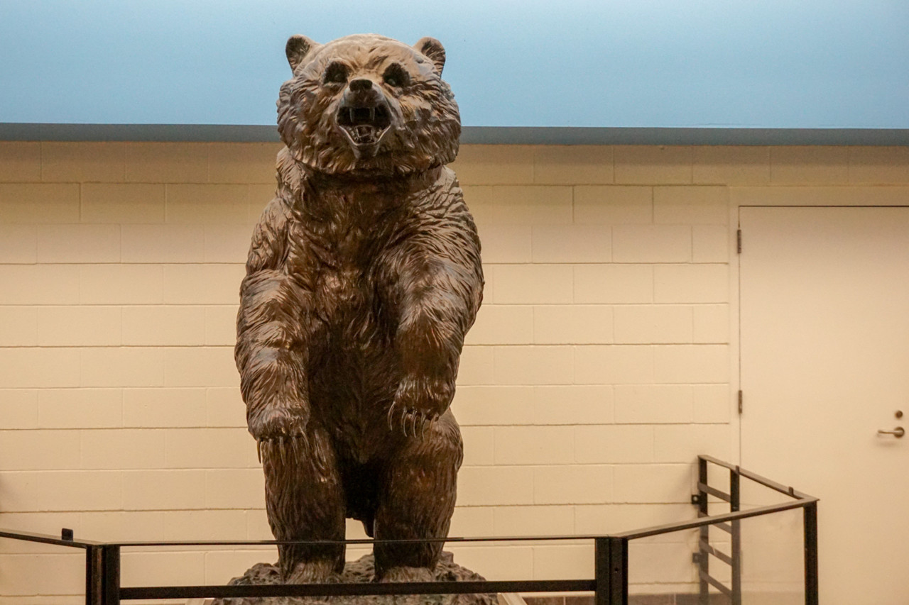 O urso que nos recebe à entrada O urso que nos recebe à entrada