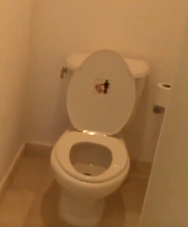 wester style toilet.png