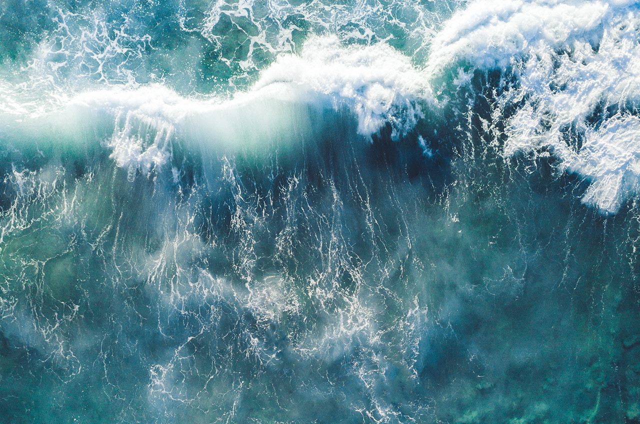 desafio dos pássaros