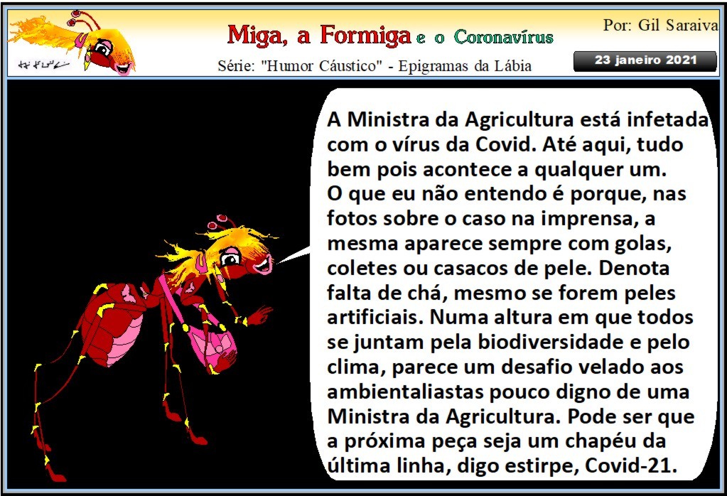MIGA912.JPG