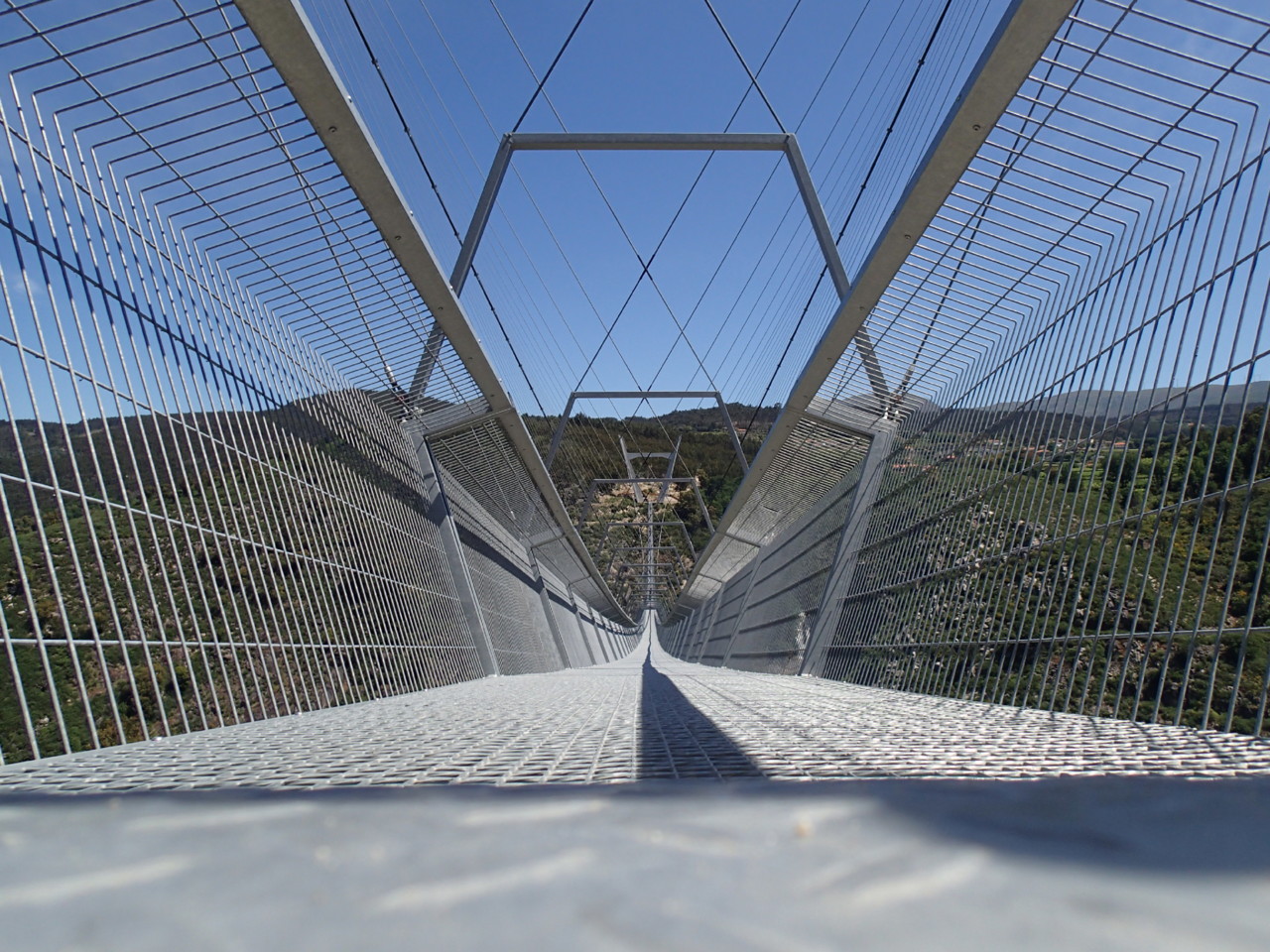 P5190187.JPG P5190187.JPG