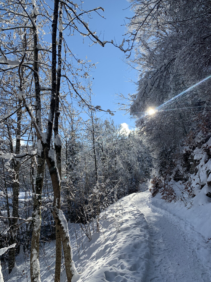Caminhada em Gstaad.jpg