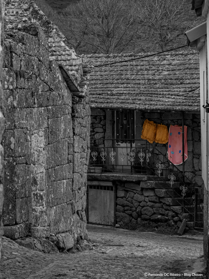 1600-cepeda (35)-video.jpg