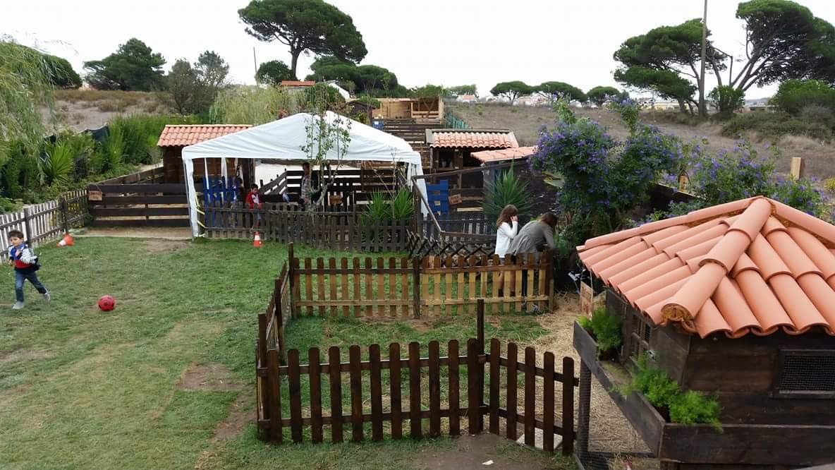 received_10202171513686465.jpeg received_10202171513686465.jpeg