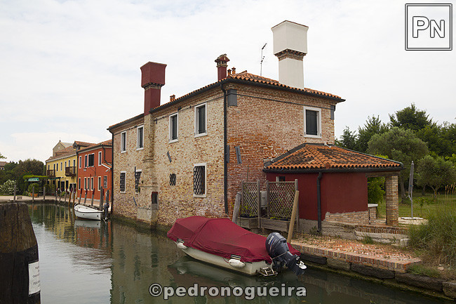 _MG_1126 650px.jpg _MG_1126 650px.jpg