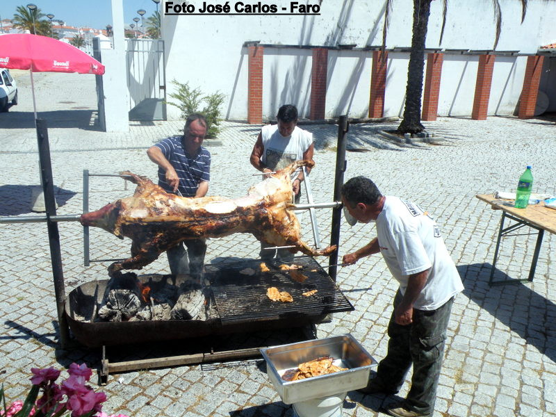 Leilão Asas Verdes 015.JPG