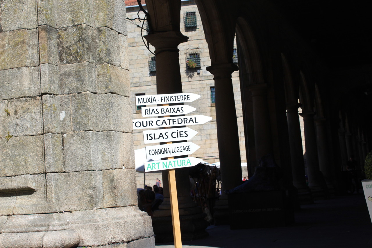 IMG_0313.JPG IMG_0313.JPG