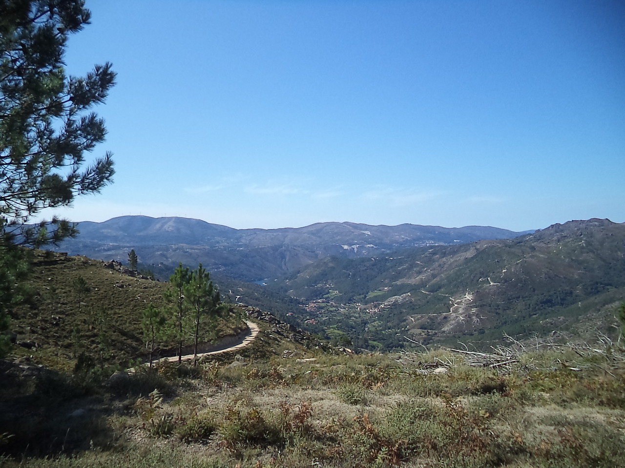 DSC08673.JPG DSC08673.JPG