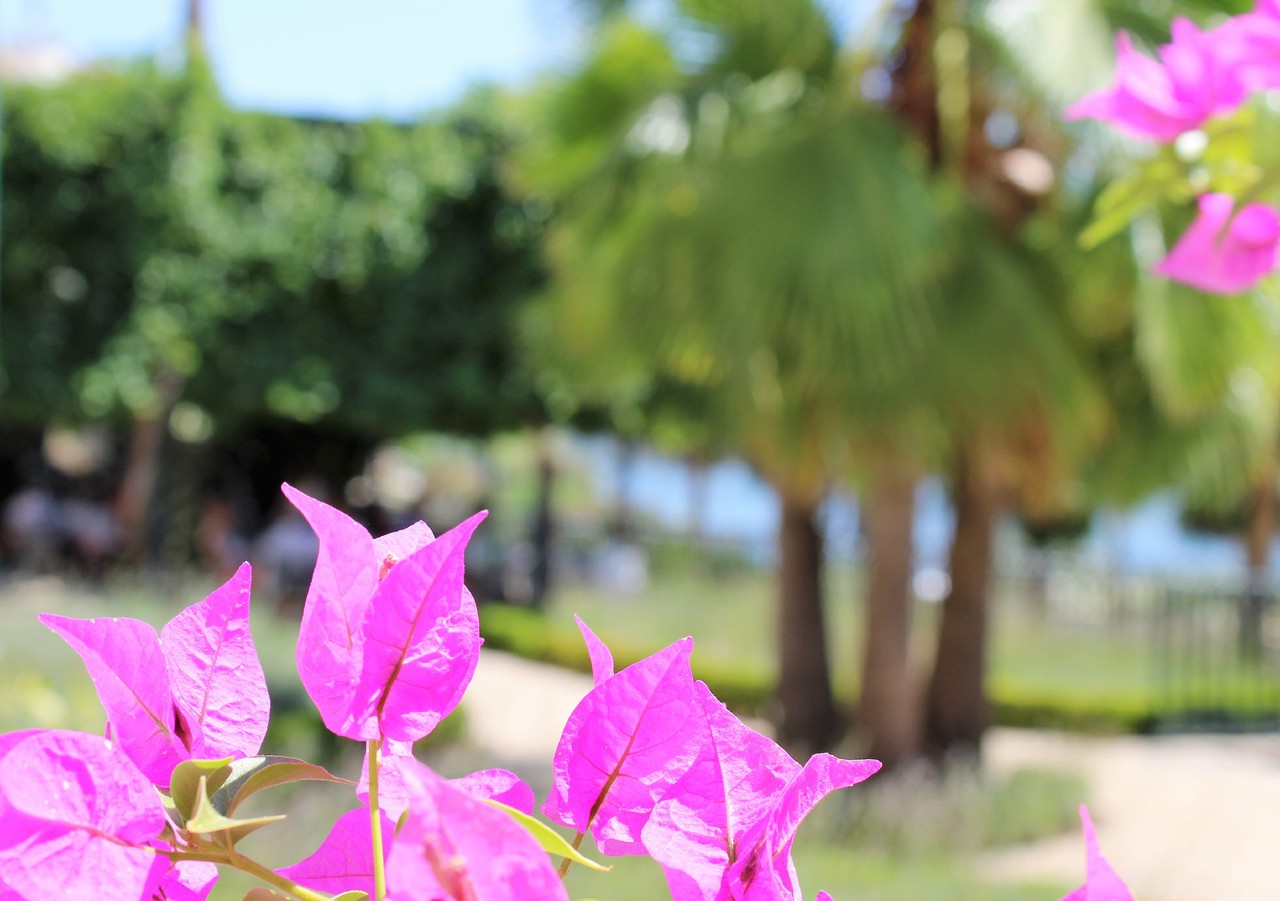 Vintage House Hotel - Restaurante Rabelo