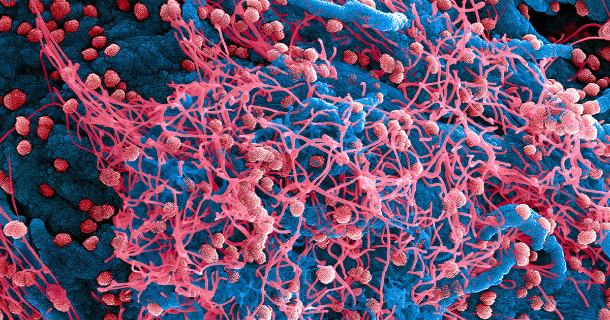 coronavirus-pandemic-experts.jpg coronavirus-pandemic-experts.jpg