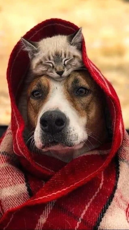 FB_IMG_15472016671636887.jpg FB_IMG_15472016671636887.jpg