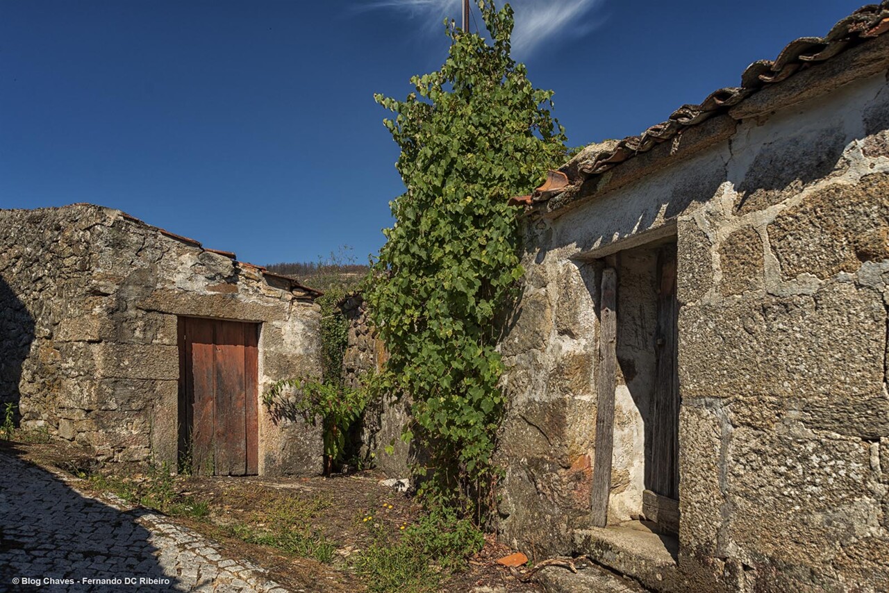 1600-ventuzelos (55).jpg