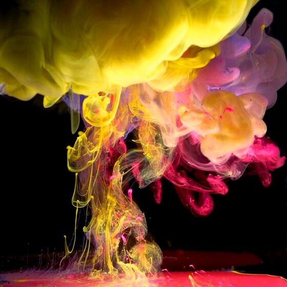 AS PALAVRAS DOS POEMAS   2024,  2025.jpg