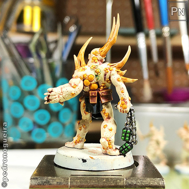 Set_2019_055e 650px.jpg Set_2019_055e 650px.jpg